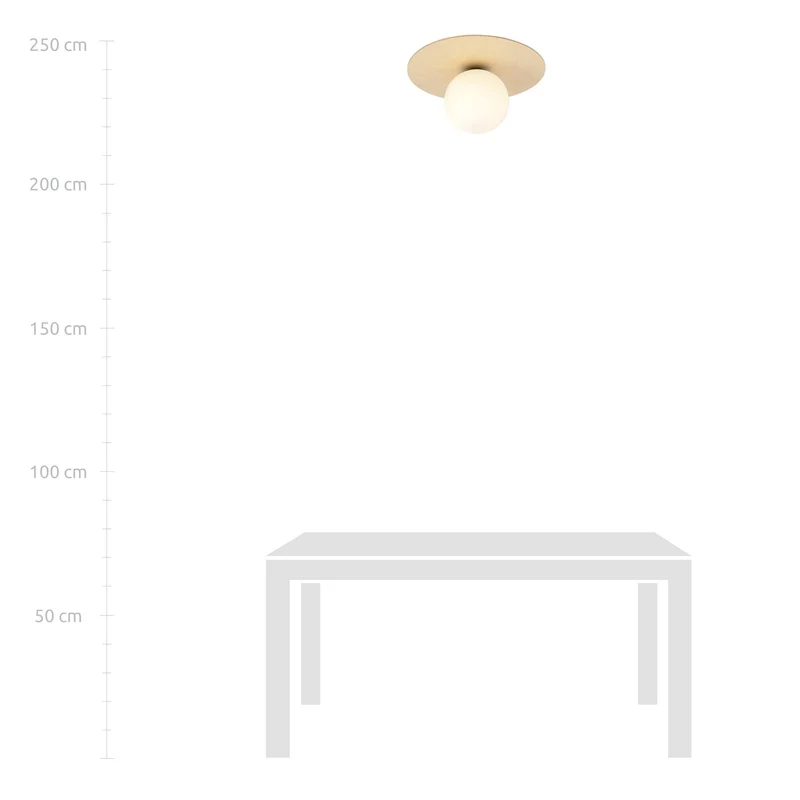 Grand Plafonnier Design