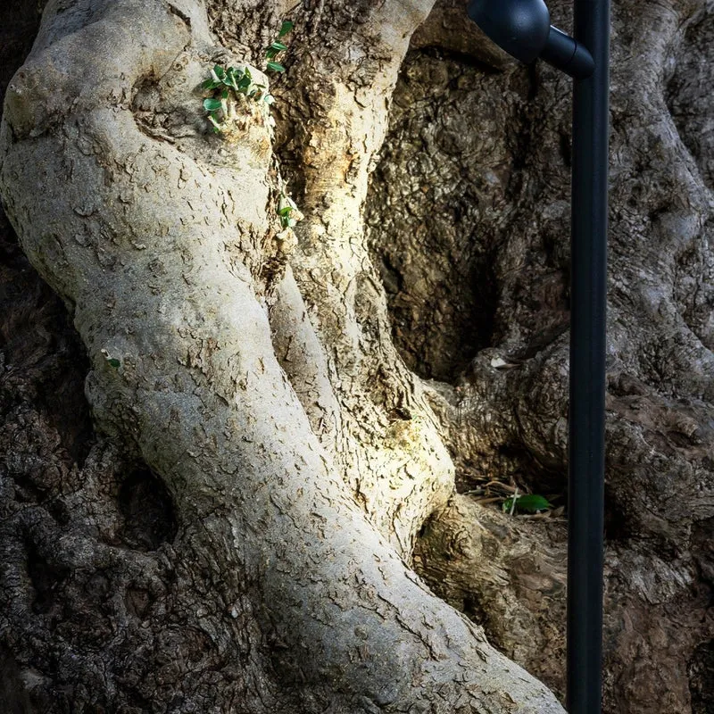 Faro Brot Spike Lamp