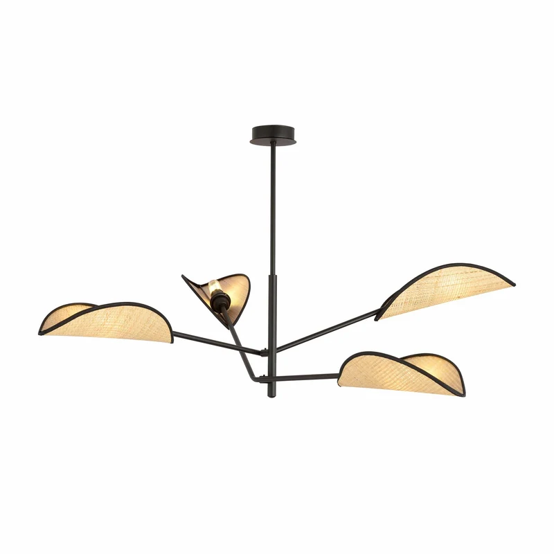 Design Suspension Luminaire