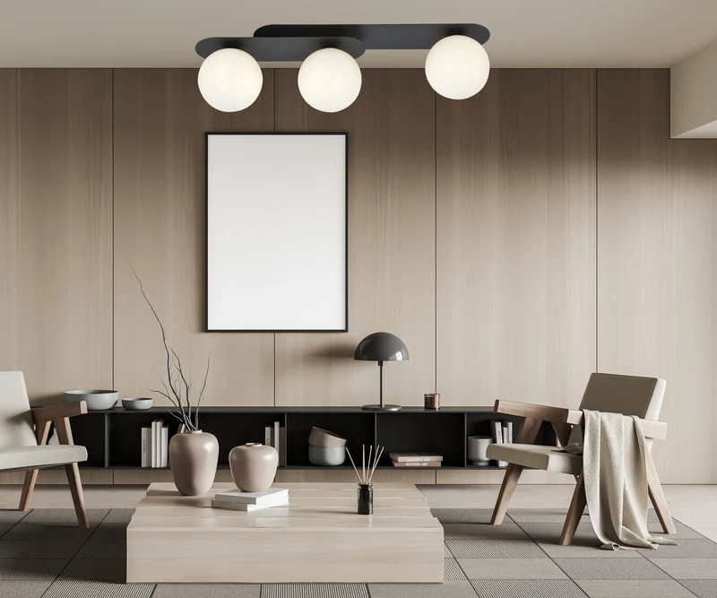 Plafond Luminaire Salon