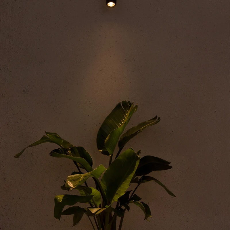 Faro Plom Projector Lamp