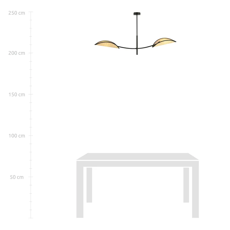 Lotus 2 Black/Rattan