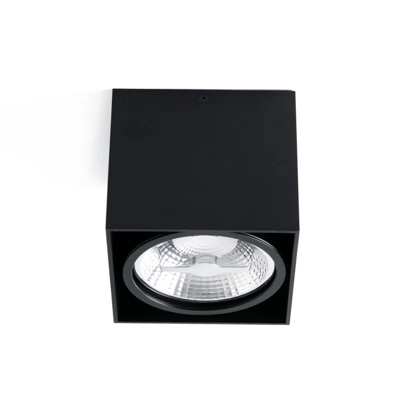 Faro Tecto 1L Ar111 Black Ceiling Lamp