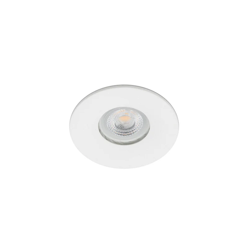 Faro Wet Downlight
