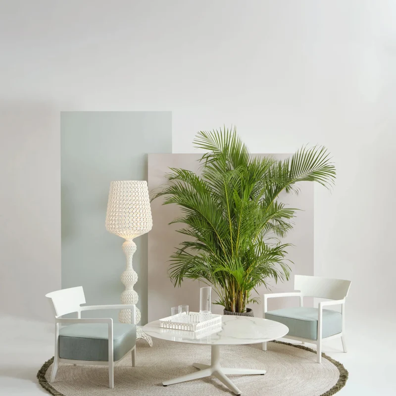 Kartell K-Lim Rug