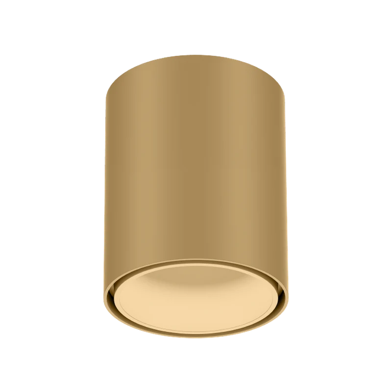 Wever & Ducré Ray Mini LED 1.0 Ceiling Lamp