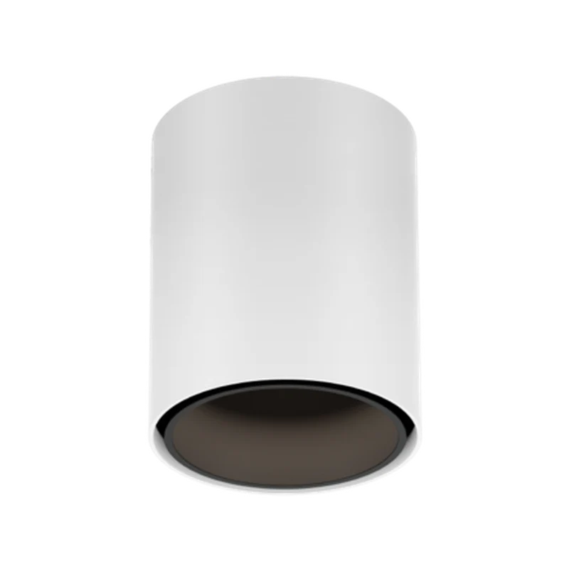 Wever & Ducré Ray Mini LED 1.0 Ceiling Lamp