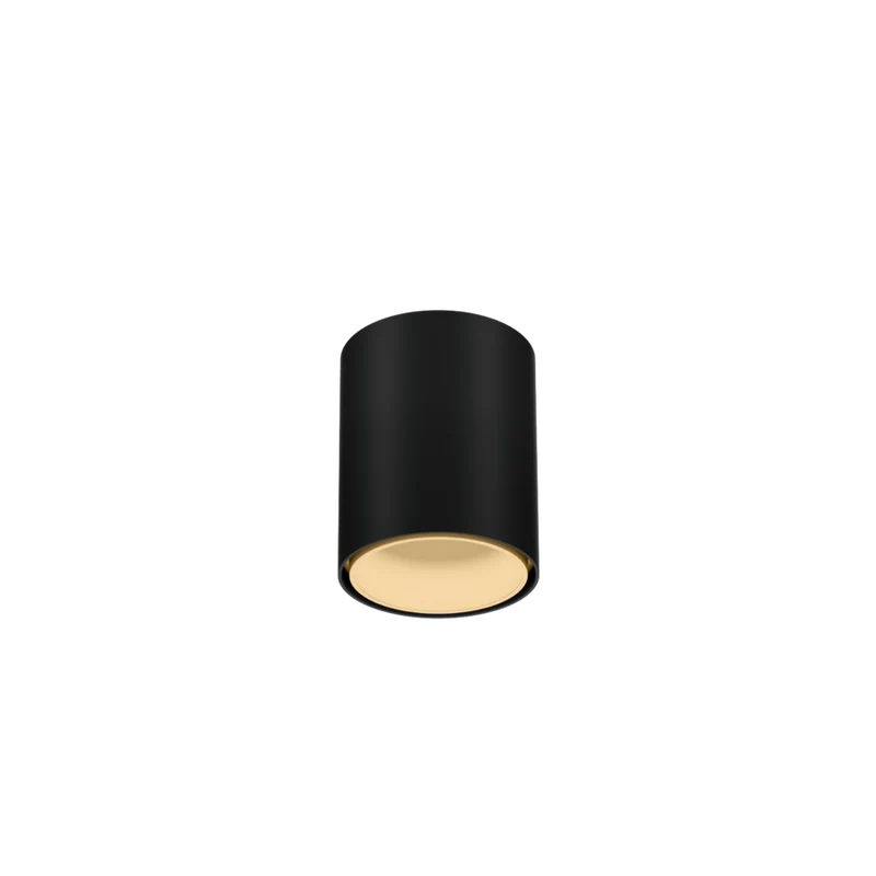 Wever & Ducré Ray Mini LED 1.0 Ceiling Lamp