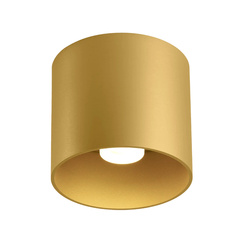 Wever & Ducré Ray LED DALI Ceiling Lamp