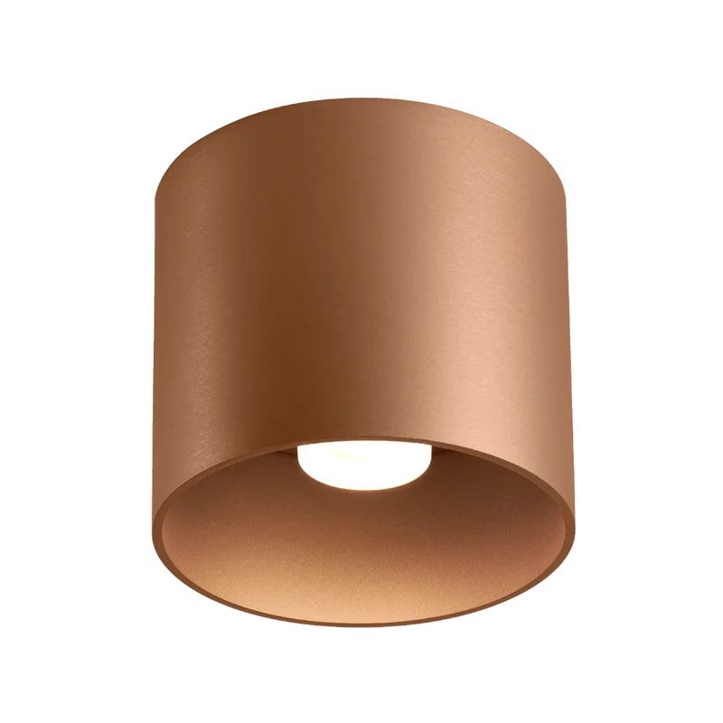 Wever & Ducré Ray LED DALI Ceiling Lamp