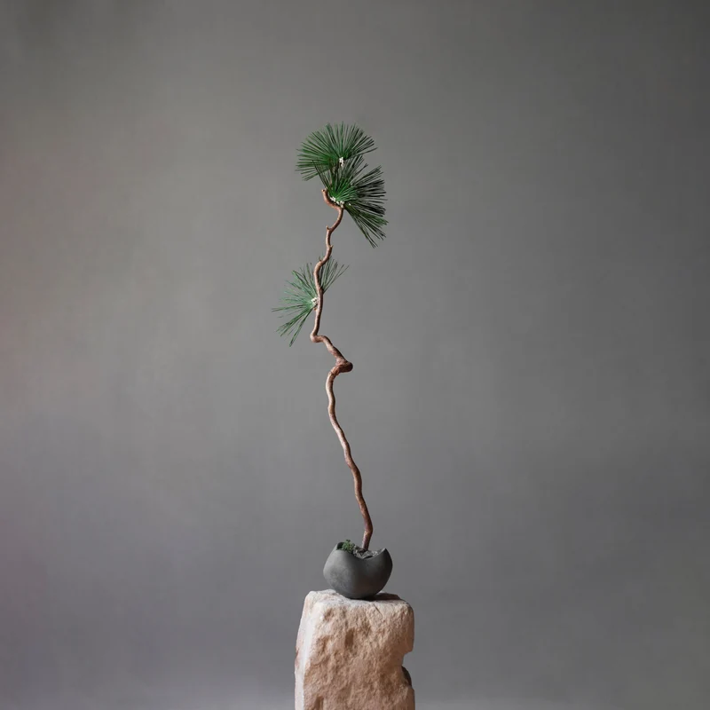 101 Copenhagen Curve Bowl