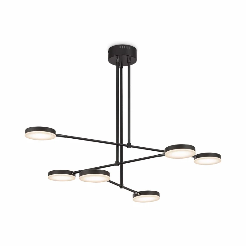 Grand Luminaire Salon