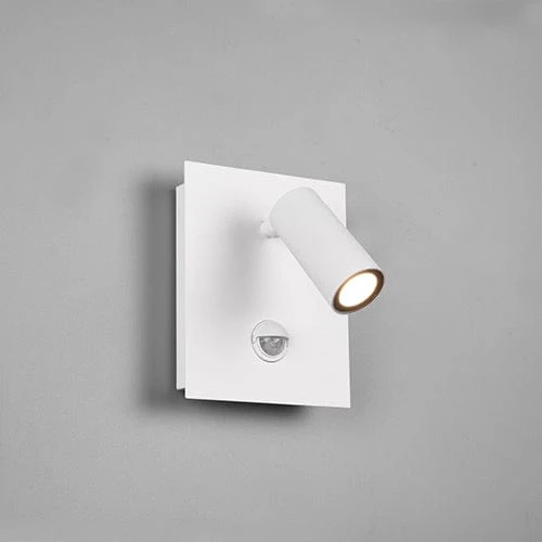 Eclairage Exterieur Mural Avec Detecteur