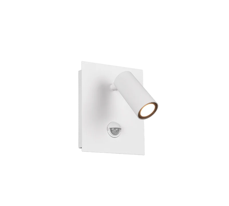 Eclairage Exterieur Mural Avec Detecteur