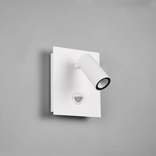 Eclairage Exterieur Mural Avec Detecteur