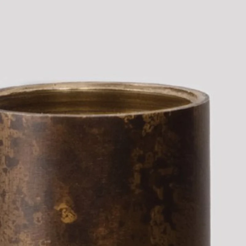 Schwung Vesta Flex Wall Sconce
