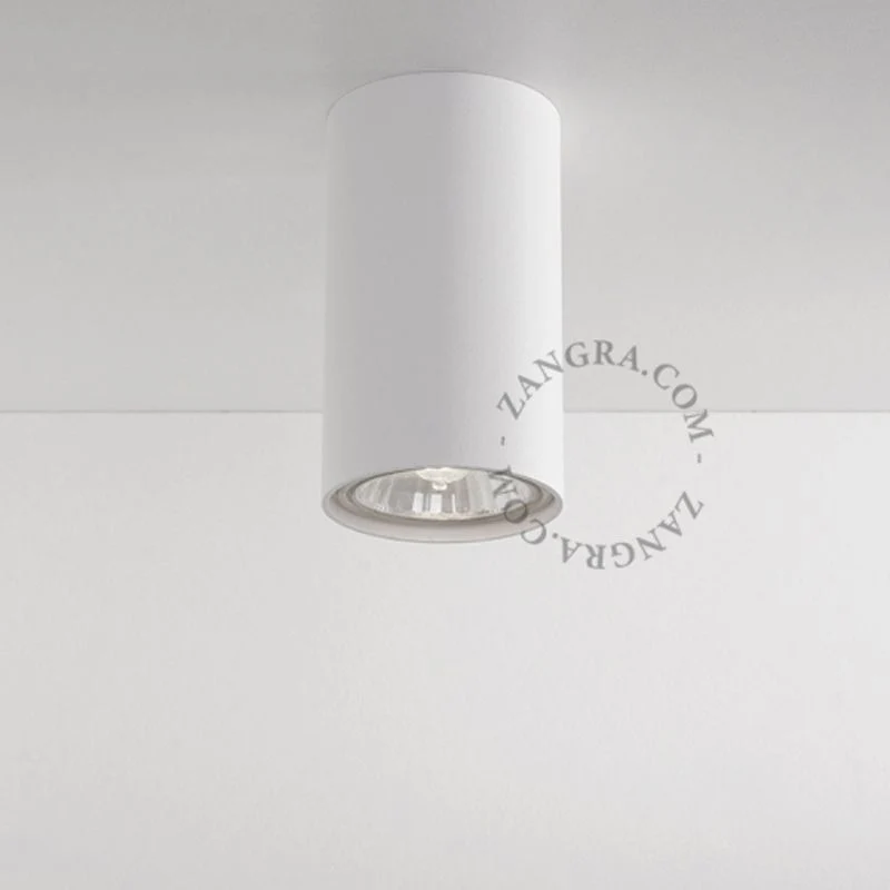 Zangra Surface Mounted Downlight
