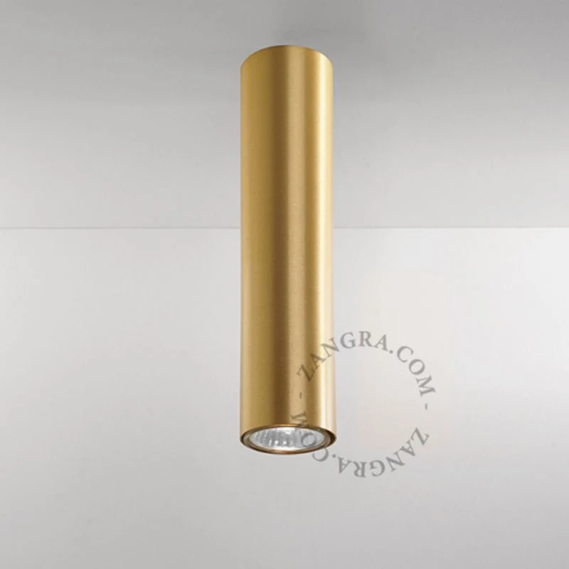 Zangra Surface Mounted Downlight