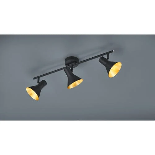 Plafonnier Avec Spot Orientable