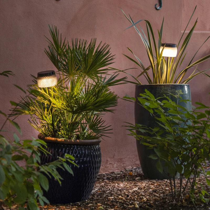 Les Jardins Lolie Solar Bollard