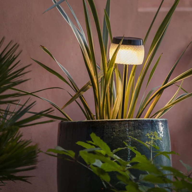 Les Jardins Lolie Solar Bollard