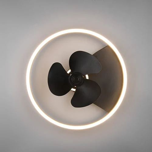Ventilateur Plafonnier Avec Lampe