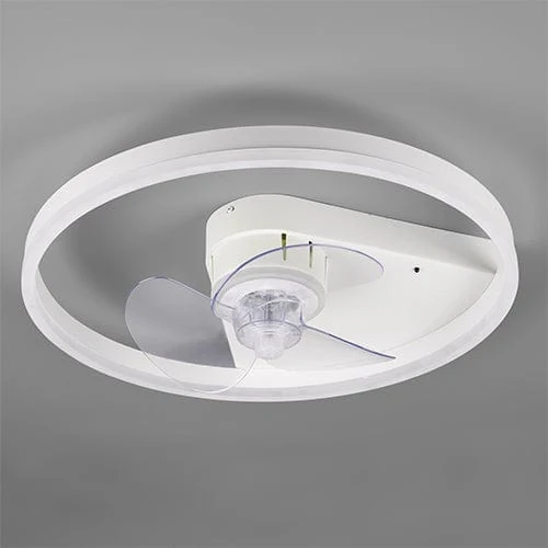 Ventilateur Plafonnier Avec Lumière