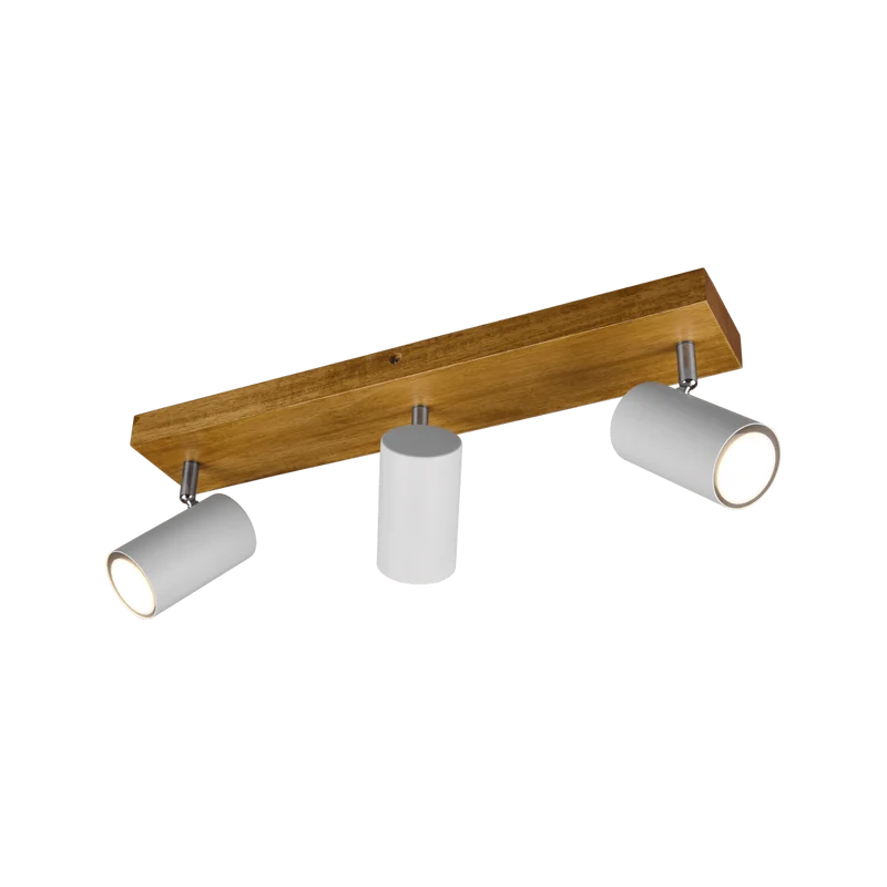 Rampe Spot Plafond