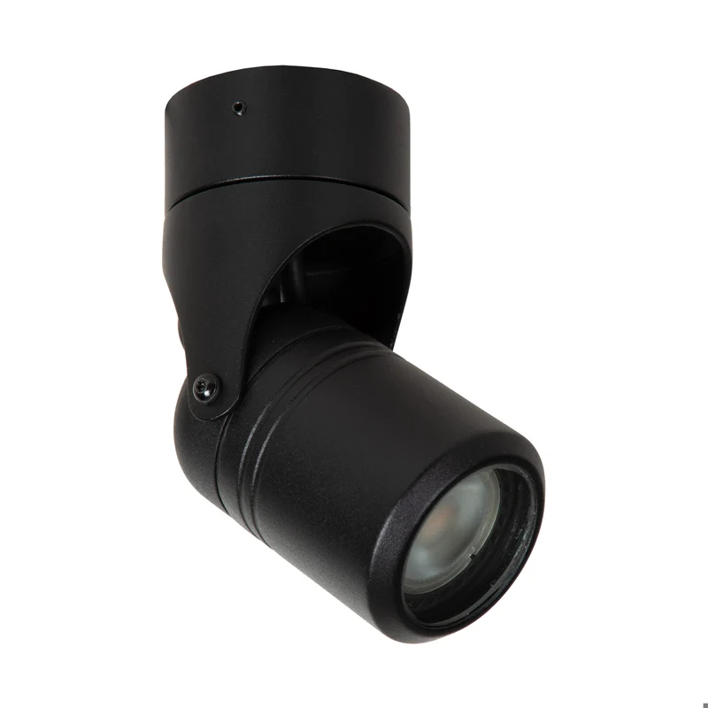 Lucide Niort Outdoor Ceiling Spot