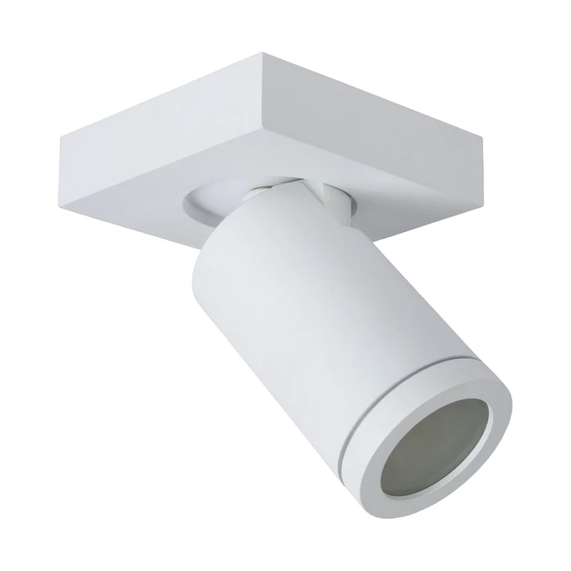 Lucide Taylor Ceiling Spot
