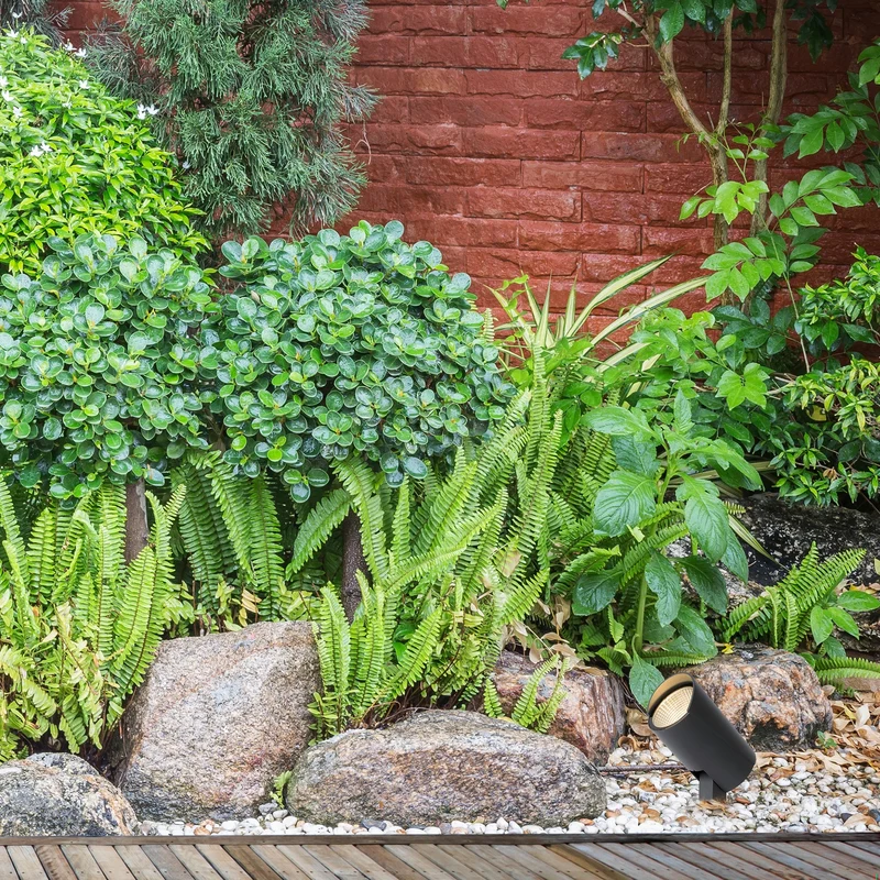 Lucide Manal Garden Spot