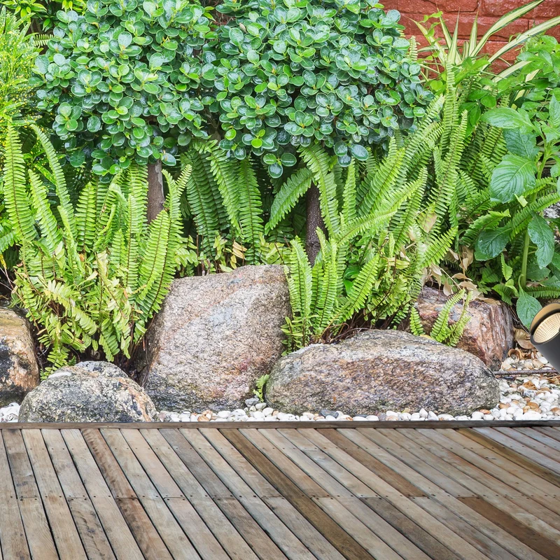 Lucide Manal Garden Spot