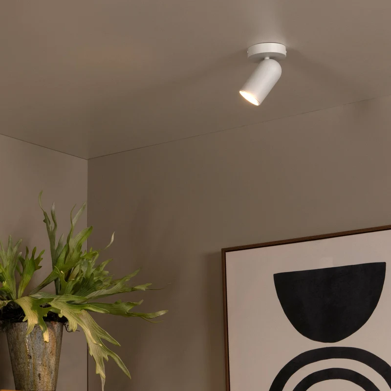 Lucide Punch Ceiling Spot