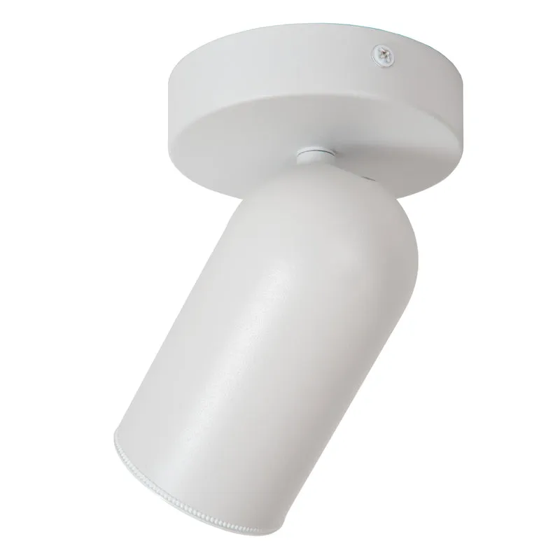 Lucide Punch Ceiling Spot