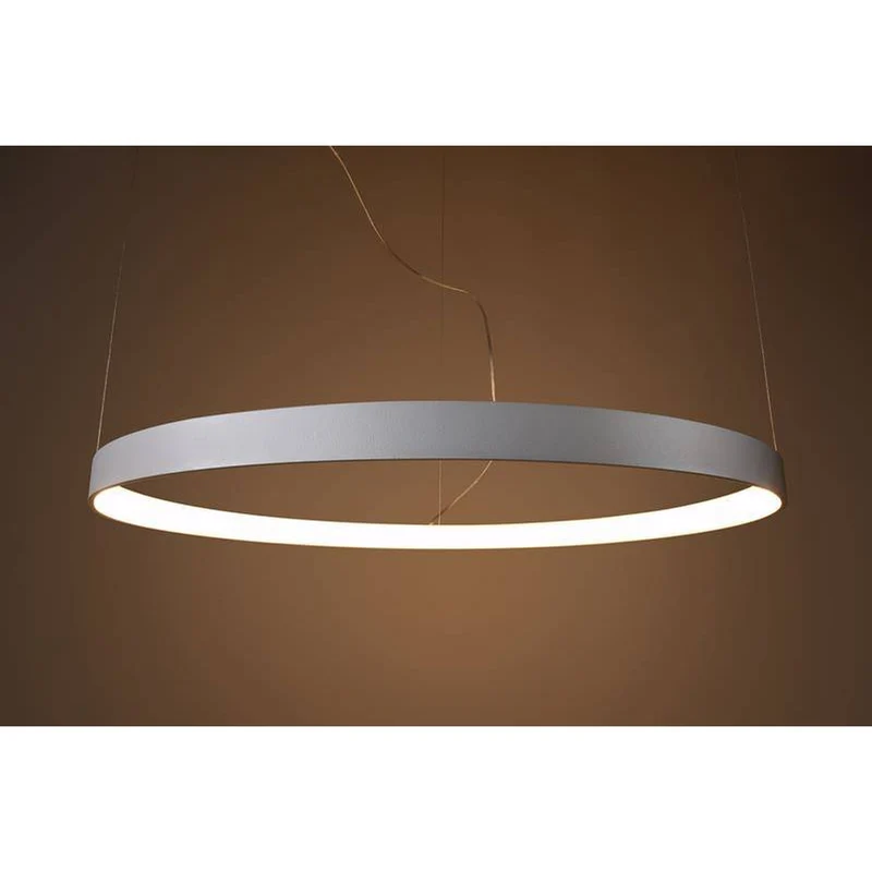 Luminaire Suspendu Cercle