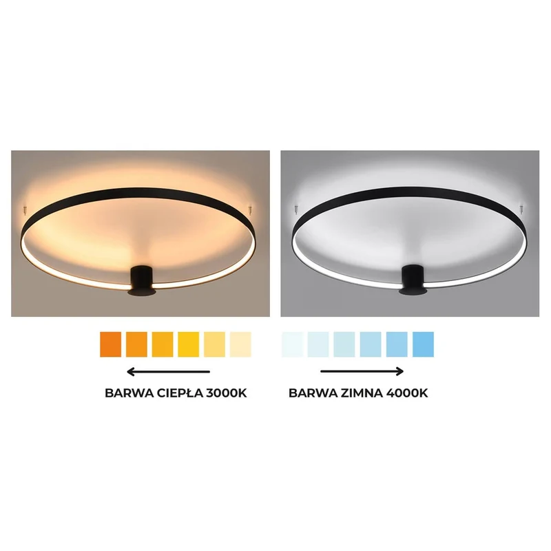 Luminaire Cable Suspendu