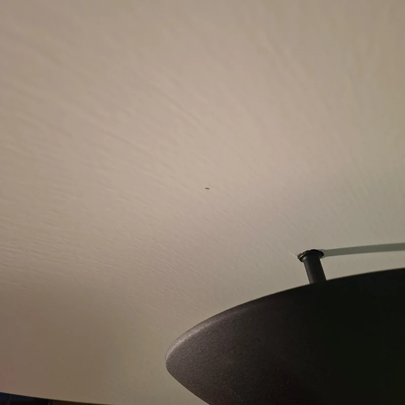 Marset Ginger LED Suspension Lamp (Ginger 60 / Oak - White / Dali) - Second Chance