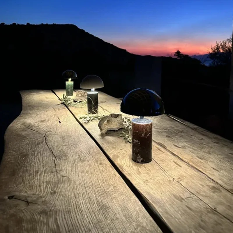 Baccaris Adei Portable Lamp