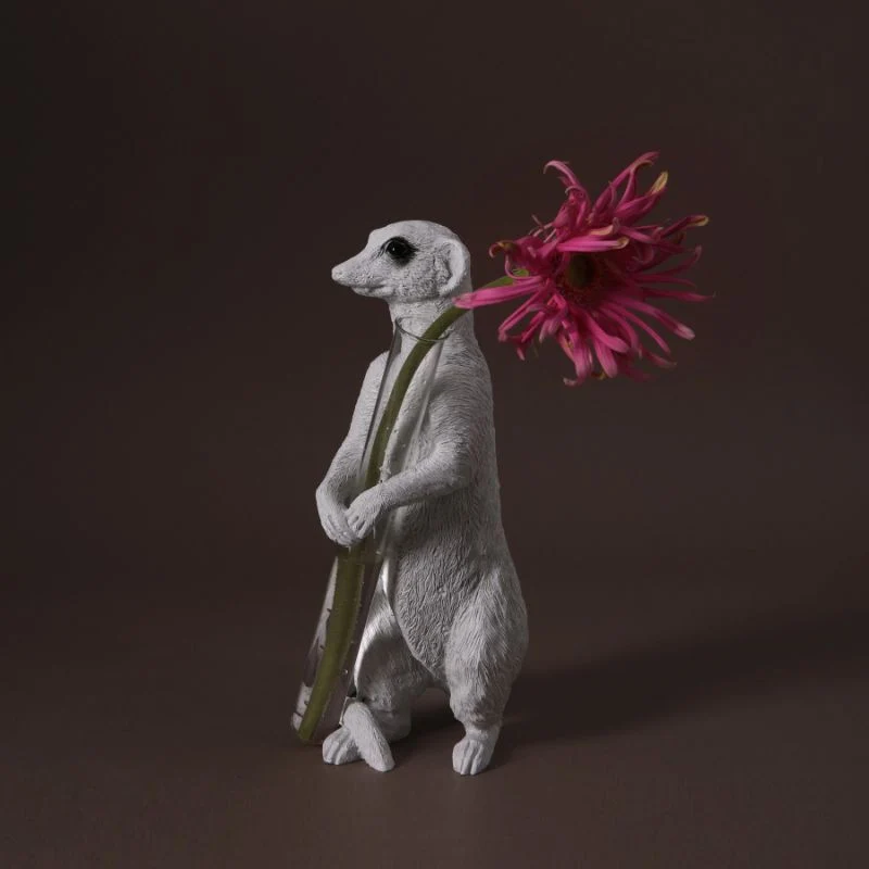 Haoshi Meerkat X Vase