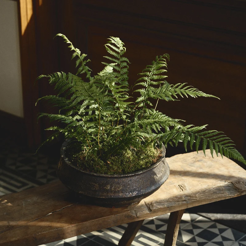 Serax Dune Planter Bowl 02