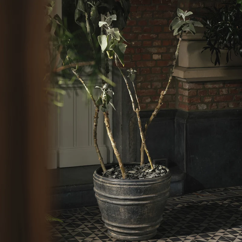 Serax Mesa Planter 01