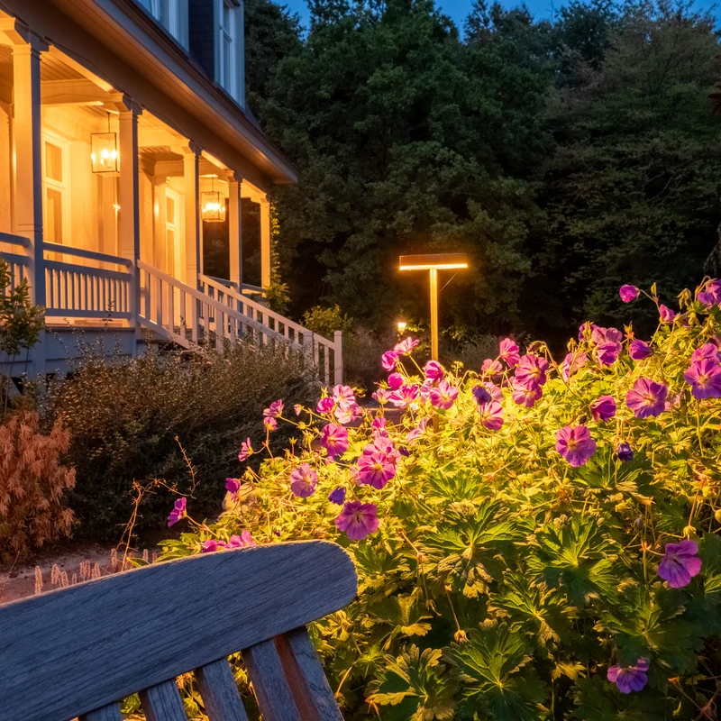 Novatrade Lighting Zapa Fungo Bollard