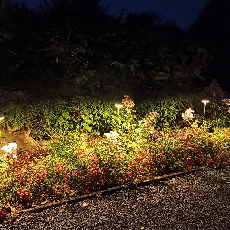 Novatrade Lighting Zapa Fungo Bollard