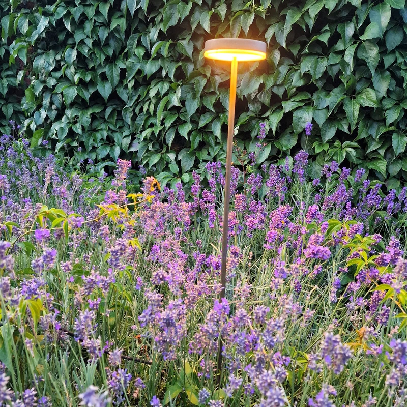 Novatrade Lighting Zapa Fungo Bollard