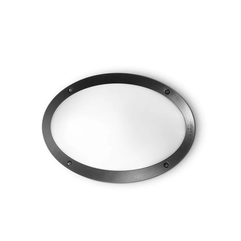 Applique Noire Exterieure