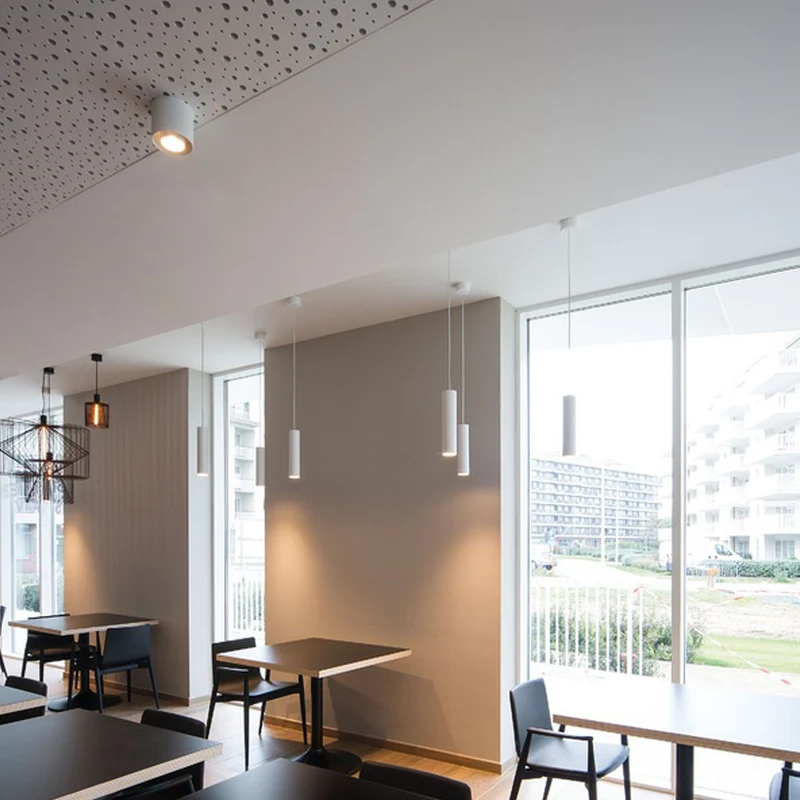 Wever & Ducre Ray PAR16 Pendant Lamp