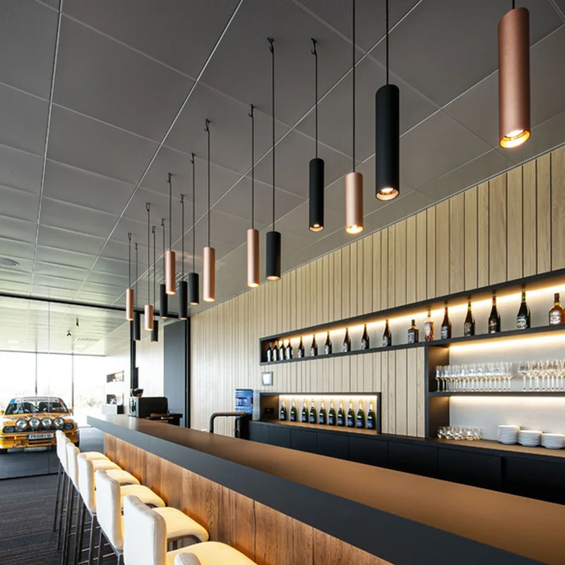 Wever & Ducre Ray PAR16 Pendant Lamp