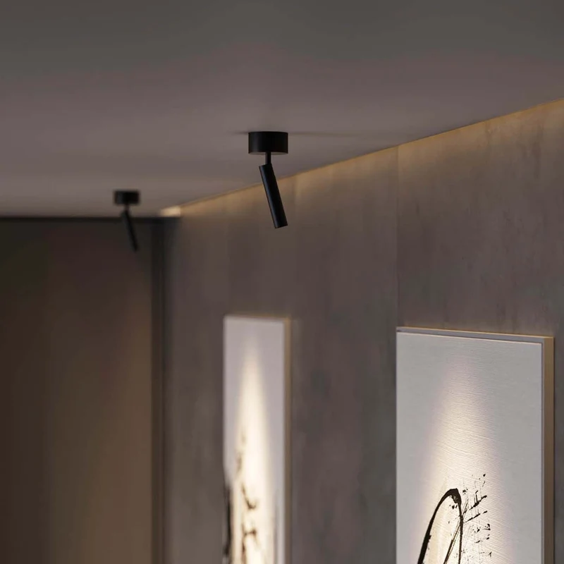 Beneito Faure Alp Adjustable and Rotatable Surface Spotlight