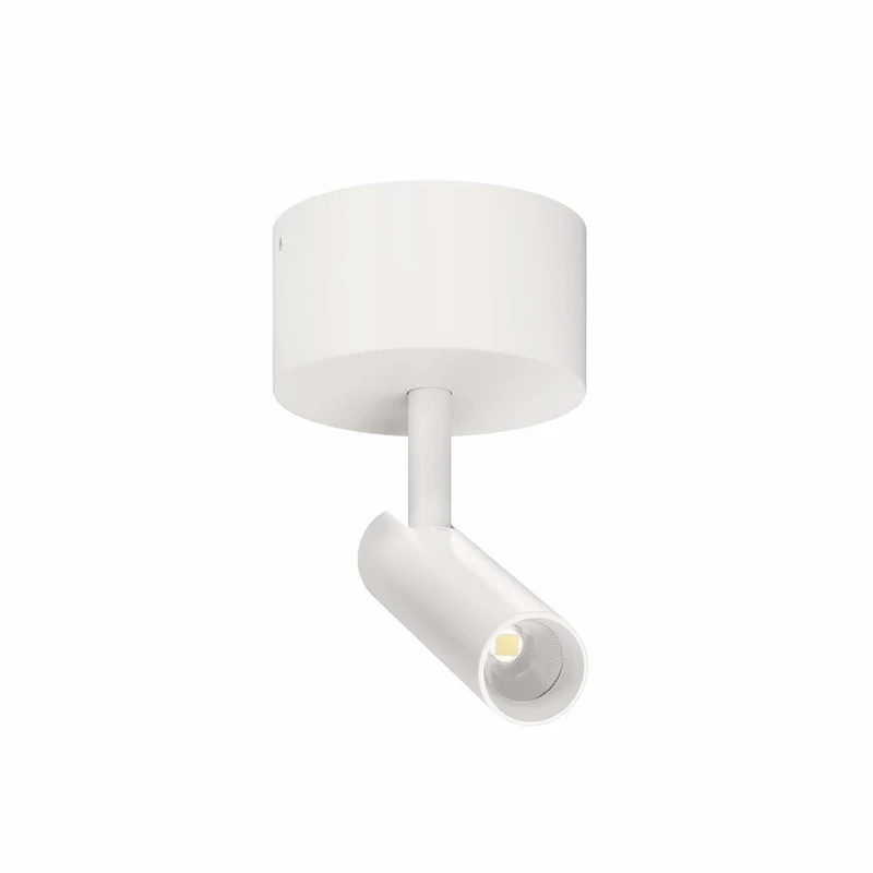 Beneito Faure Alp Adjustable and Rotatable Surface Spotlight