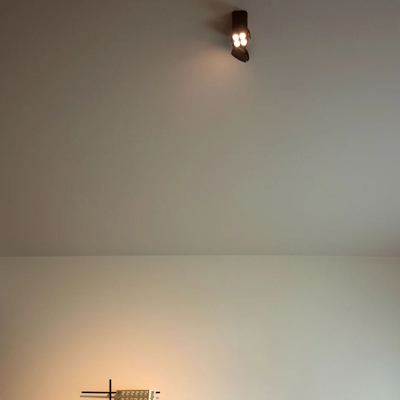 Trizo21 Mini-Pi 2 Up Surface Spotlight